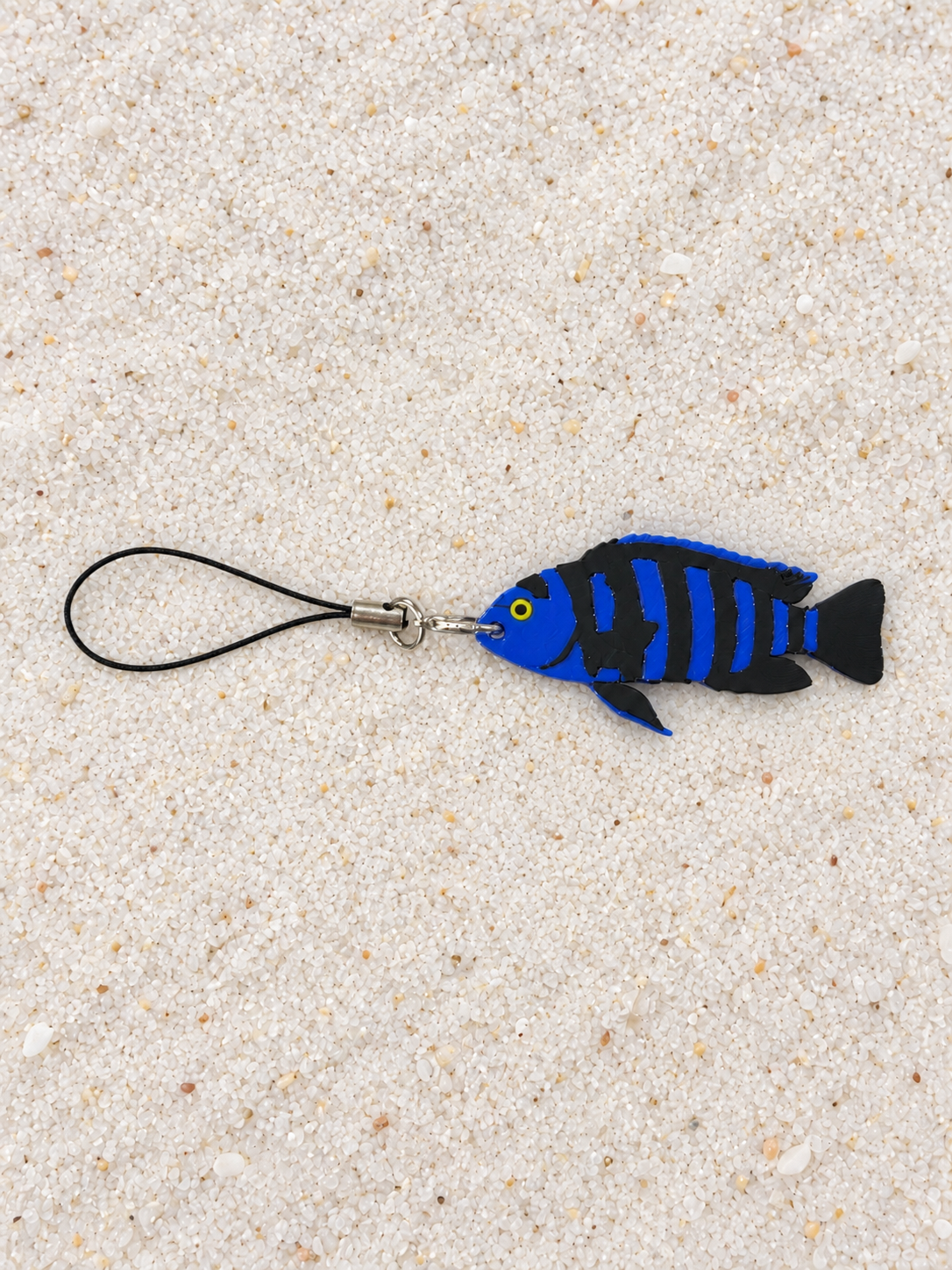 African Cichlids