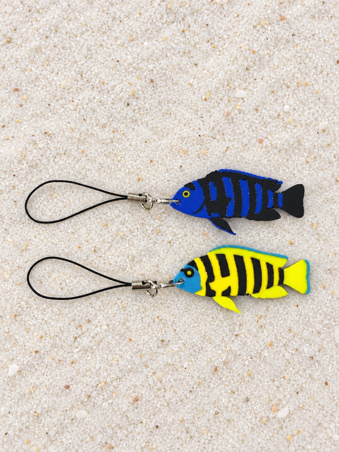 African Cichlids