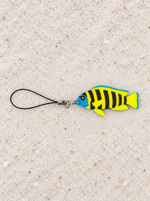 African Cichlids